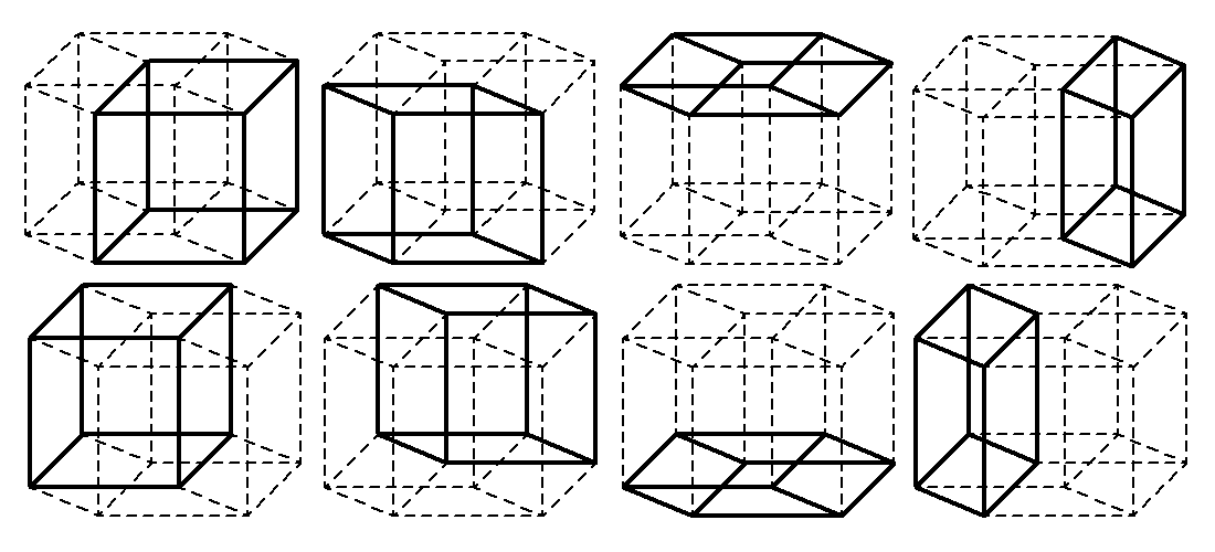 8-cell - 8-cella